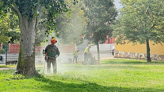 San Andrés refuerza la siega y el desbroce durante el verano con actuaciones en todos los barrios y pedanías