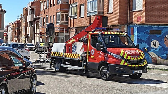 Bomberos de León retiran un nido de avispas de un colegio un día después de empezar las clases