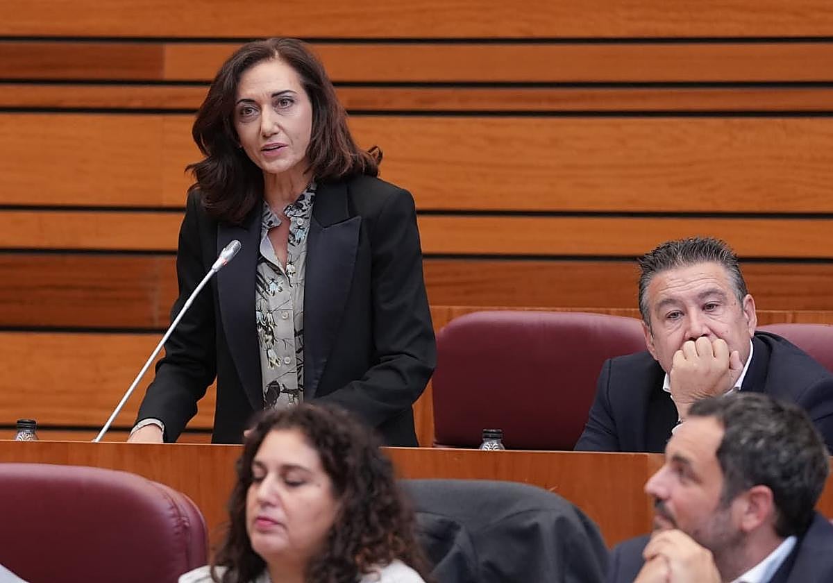 La portavoz de UPL en las CCyL, Alicia Gallego.
