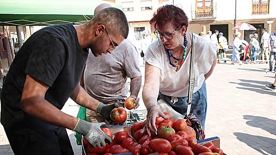 Llega el homenaje anual de Mansilla a su producto estrella, el tomate