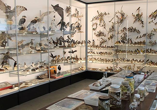 Parte de la colección del museo.