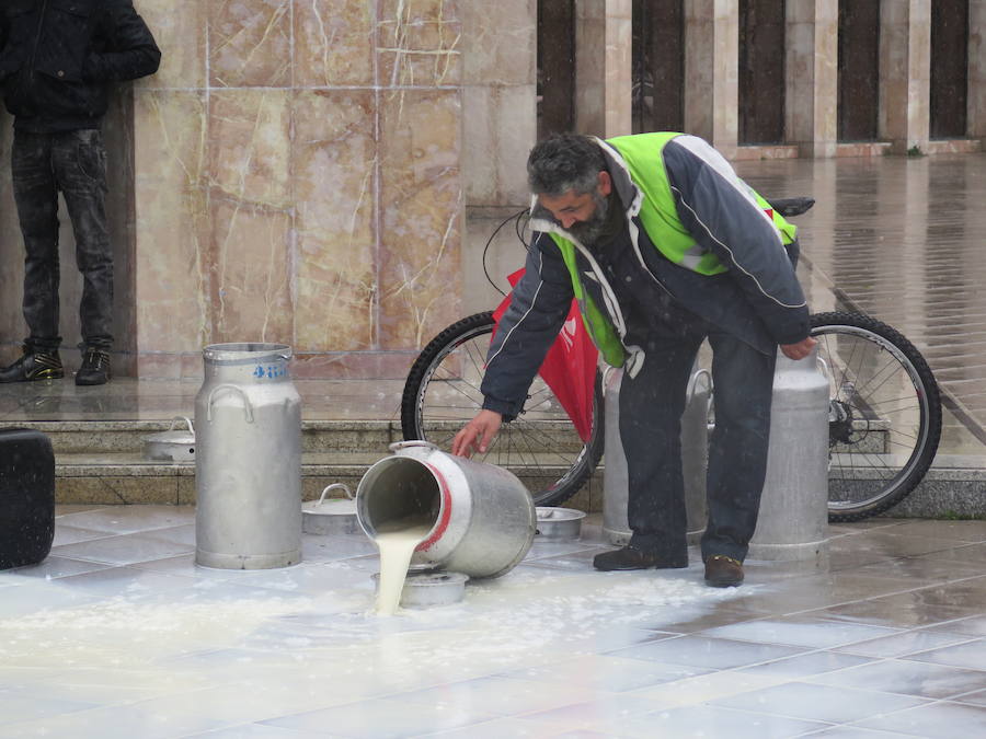 La leche vuelve a derramarse ante la Junta