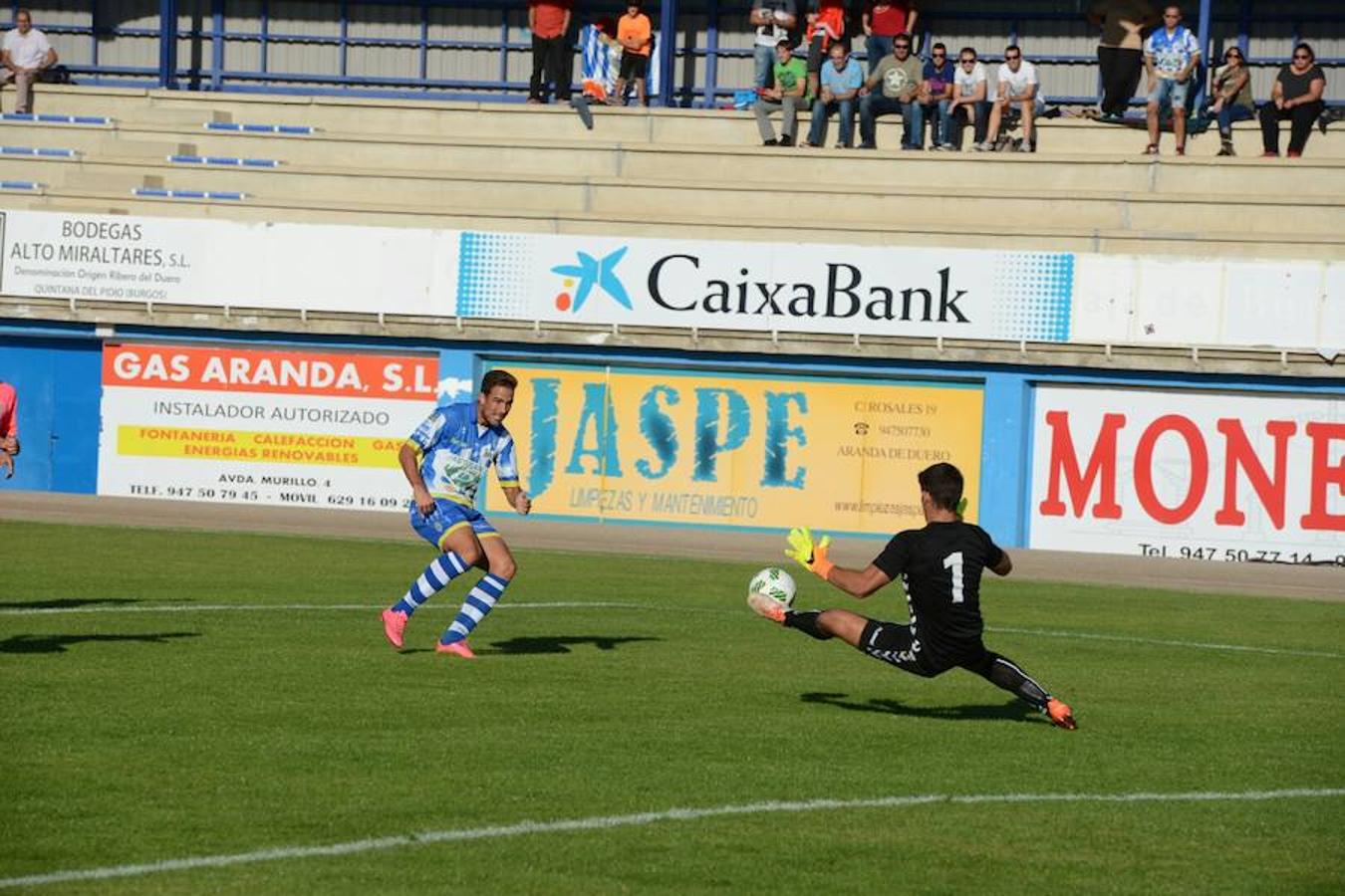 Victoria rosa en Aranda