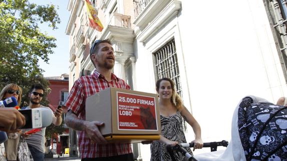 El último paso en la «pesadilla» de Lobo