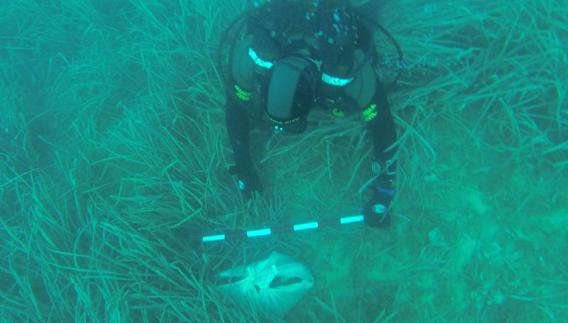 Un buzo inspecciona los restos hallados en aguas de Calpe.
