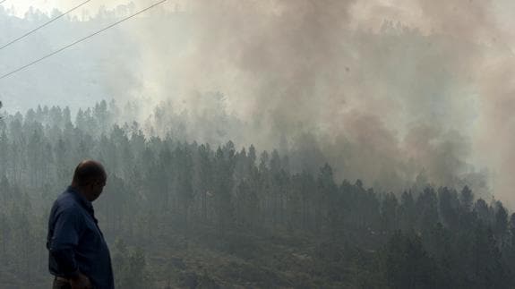 Incendio en Entrimo, Galicia.