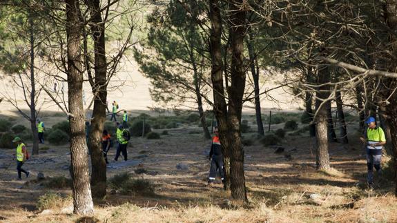 Voluntarios rastrean una zona cercana al lugar donde desapareció la joven.