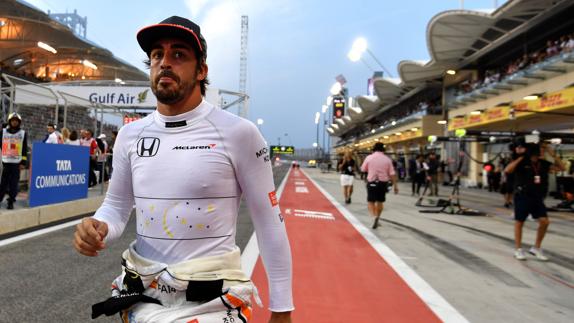 Fernando Alonso. 