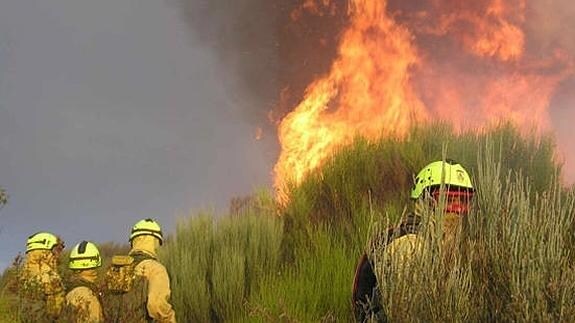 El PSOE exige un nuevo convenio forestal que ampare a los 2.500 trabajadores del sector