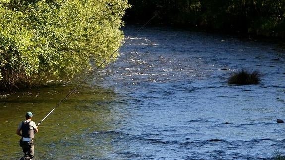 Un pescador en el río Sil a su paso por Ponferrada