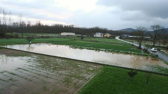 La lluvia pone en jaque el cultivo de remolacha y maíz y augura plagas de hongos en el campo leonés