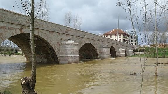 El río Torío a su paso por las afueras de la capital. 