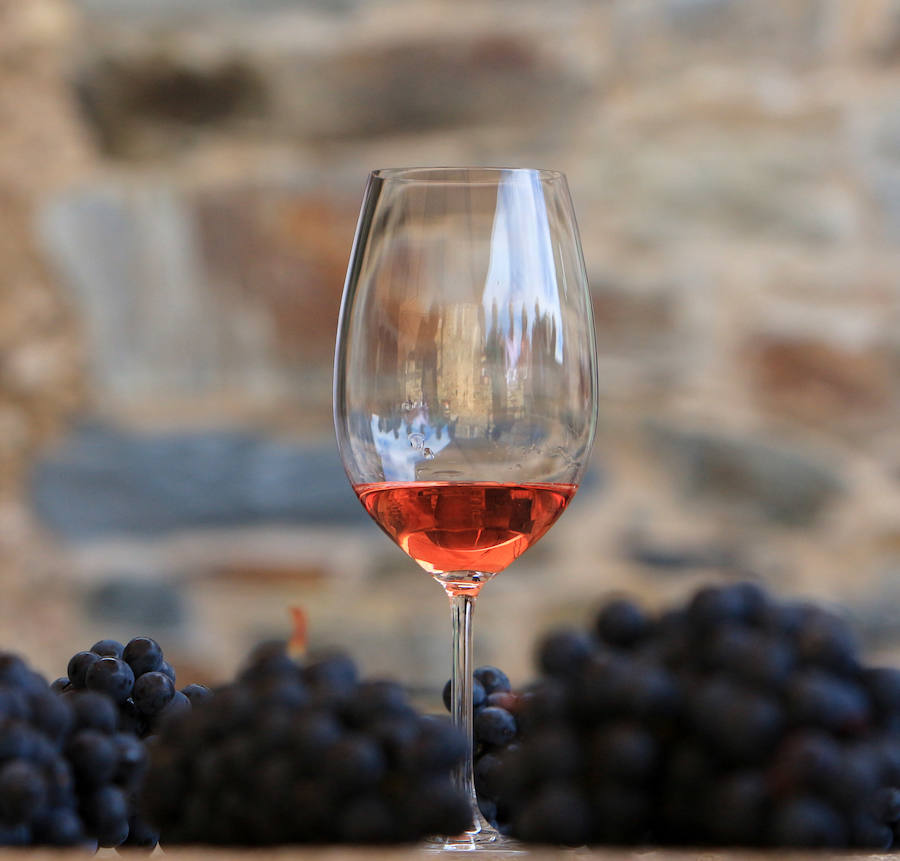 Más de 100 vinos españoles se citan en el Festival Estival Demencial 2016 de Ponferrada