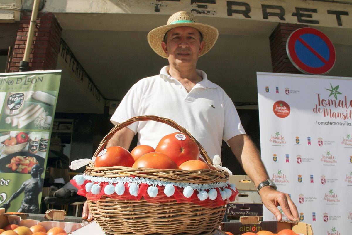 La localidad de Mansilla de las Mulas celebra la XXVII edición de la Feria del Tomate.