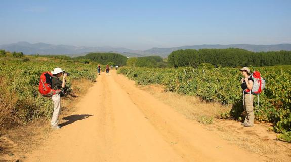 El Camino de Santiago a su paso por la provincia.