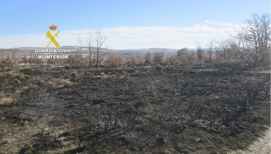 Imagen de la zona afectada por el incendio.