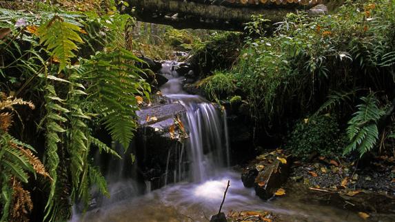 Una de las rutas que se pueden descubrir en el Bierzo.