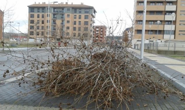 Restos de poda abandonados desde hace más de un mes en La Lastra.