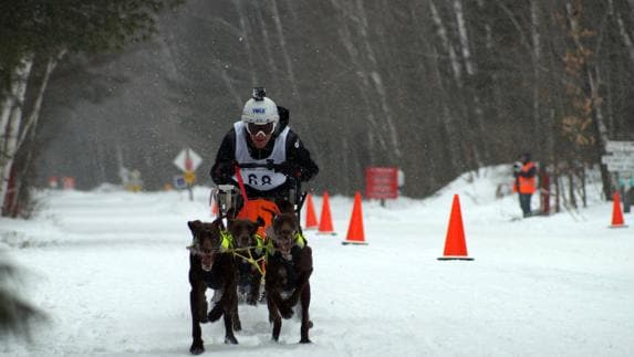 Javier del Canto, en el Mundial de Ontario.