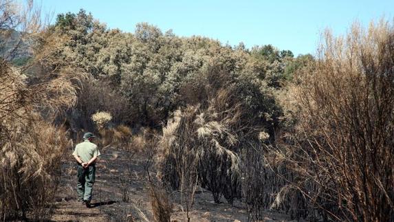 El punto de inicio del incendio de Castrocontrigo en Torneros de la Valdería.