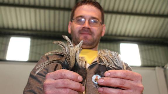 XXI Muestra de Gallo de Pluma y Mosca Artificial de La Vecilla. 