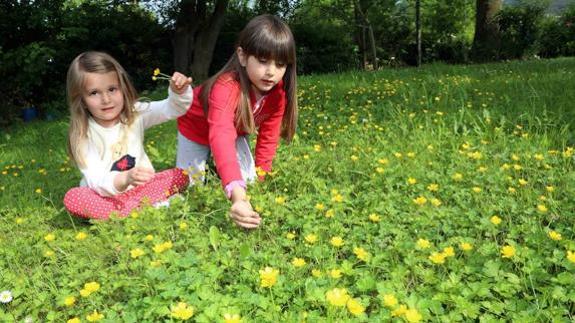 Dos niñas jugando entre las flores. 