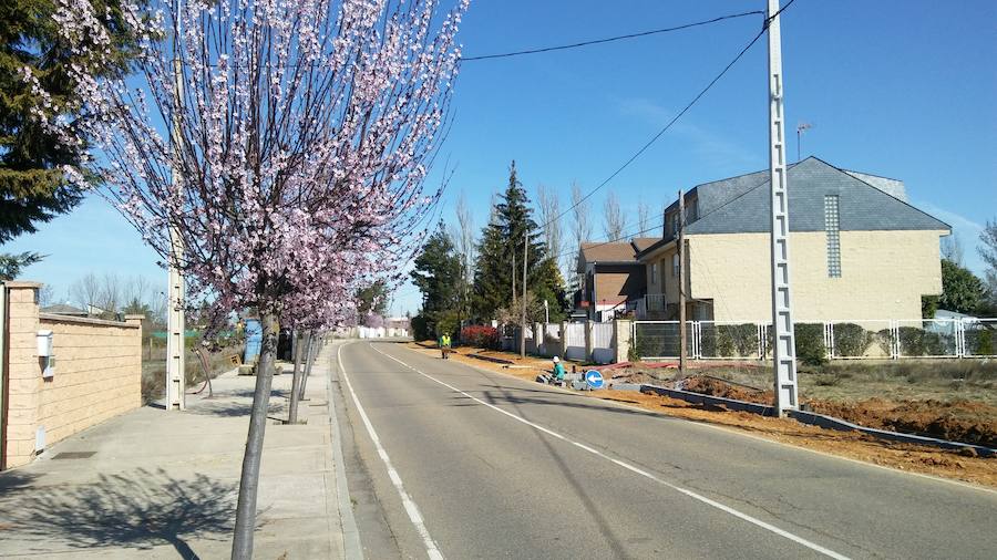 Avenida Jano en la localidad de Valverde de la Virgen.