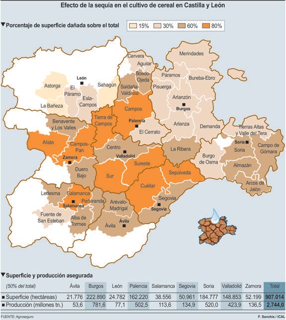 Efecto de la sequía en el cultivo de cereal en Castilla y León. 