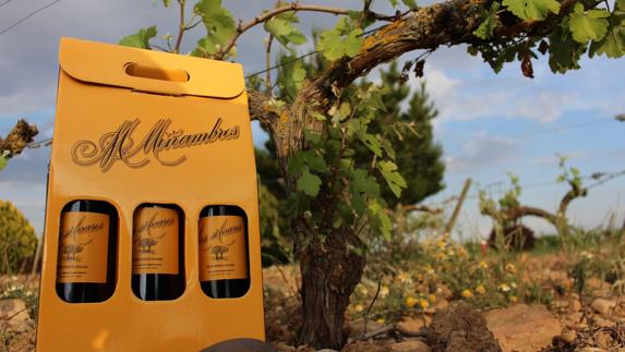 Los Silvares, uno de los vinos más exclusivos de M. Miñambres.