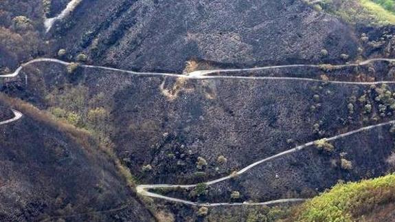 El fuego arrasó más de 1.300 hectáreas.