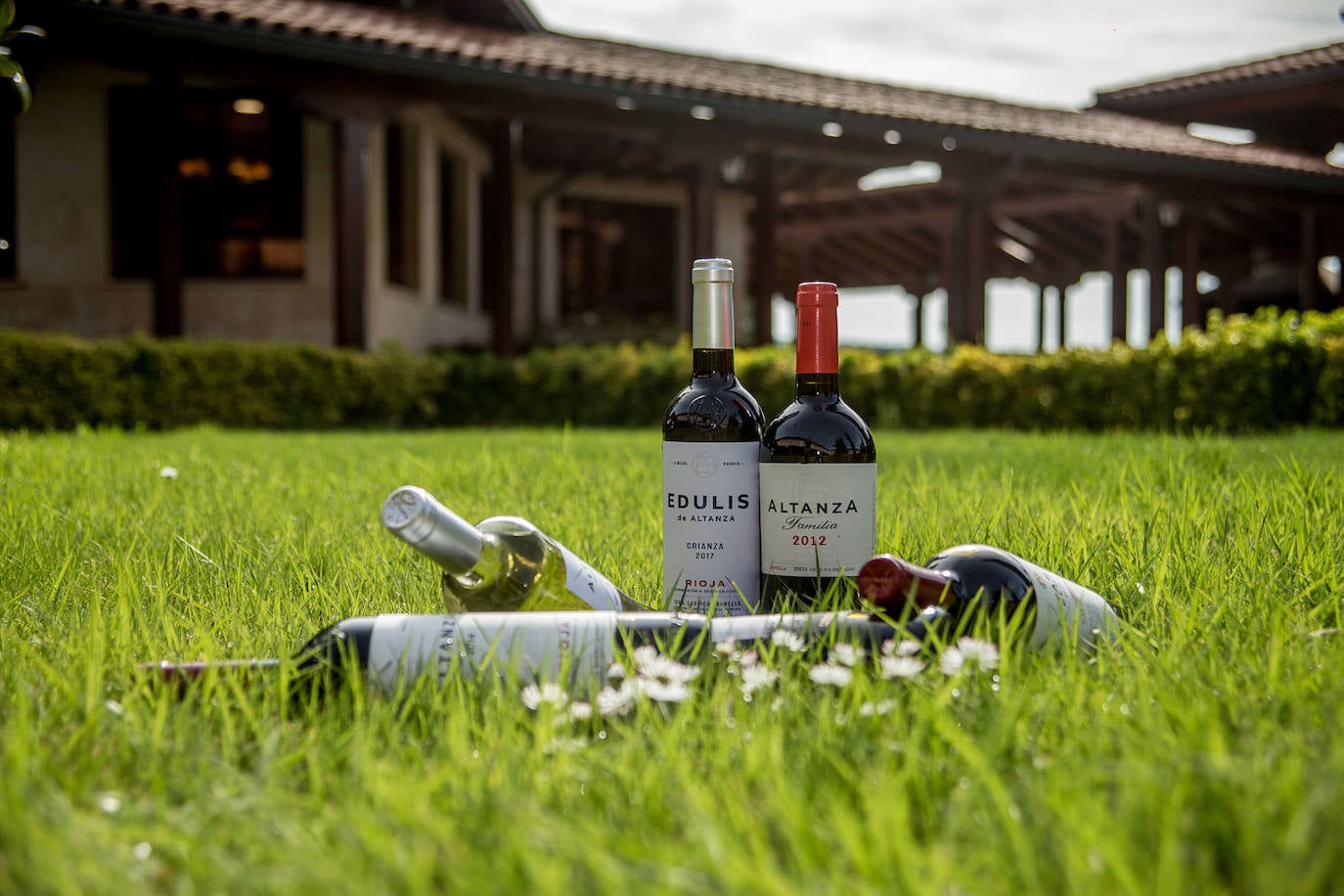 Fotos: Los vinos de Altanza lucen nuevas etiquetas