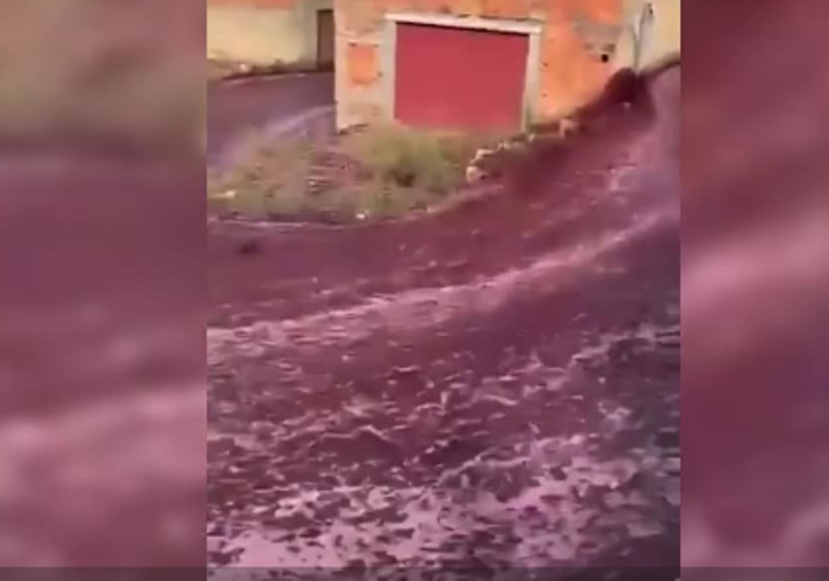 Un río de vino tinto inunda las calles de un pueblo de Portugal
