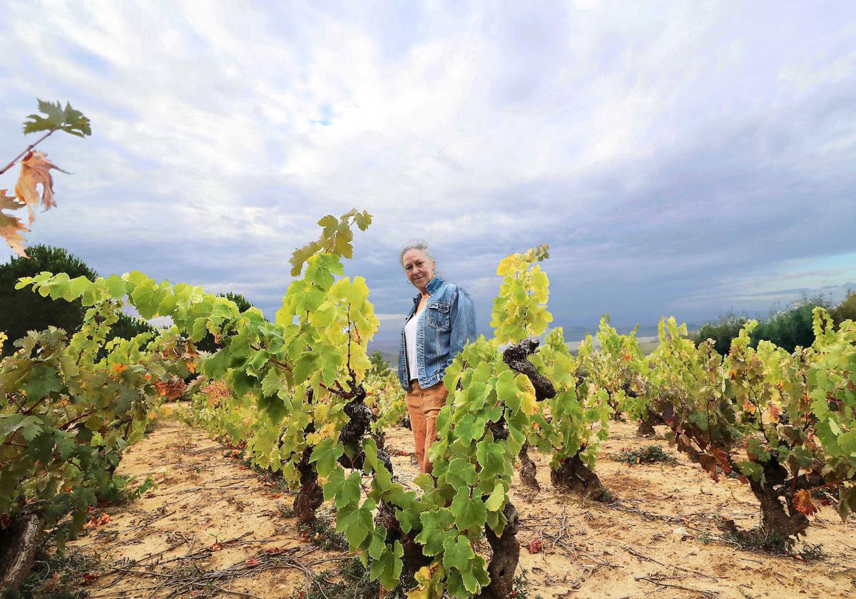 Lo mejor del vino de Rioja