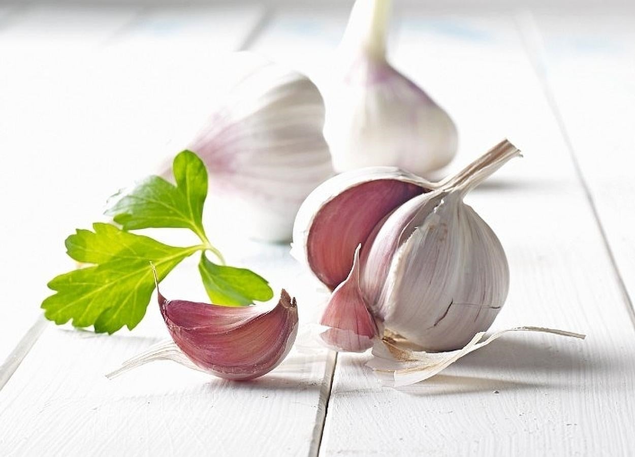 Tiene efecto antibacteriano, antifúngico y antiviral. Es más potente cuando se come crudo y se conserva almacenado en un ambiente seco y fresco.