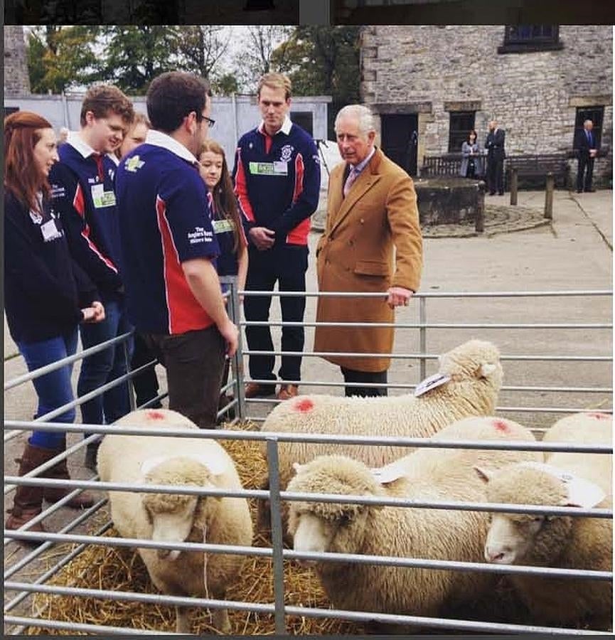 Antes de cardar la lana hay que cortala, y Carlos sabe tener a buen resguardo su rebaño.