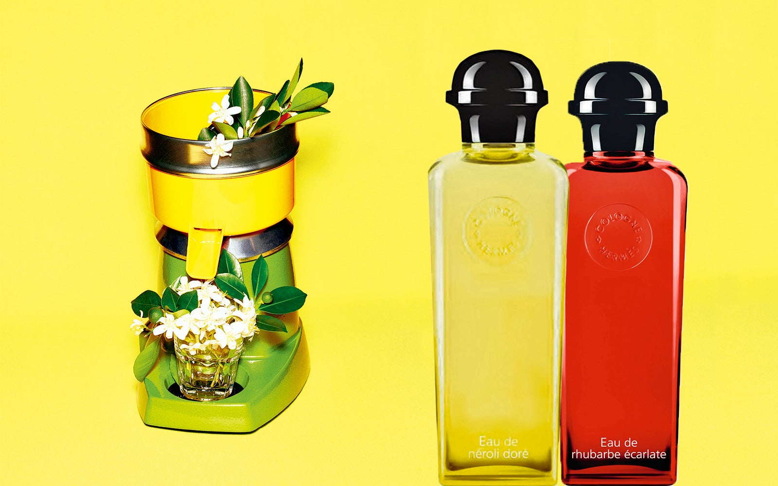 Hermès amplía su familia de colonias con Eau de Néroli Doré y Eau de Rhubarbe Écarlate. Dos fragancias frescas, una de esencia mediterránea (con azahar) y otra más vegetal (con el olor a campo del ruibarbo), creadas por el perfumista de la maison, Jean-Claude Ellena. ¡Bienvenidas!