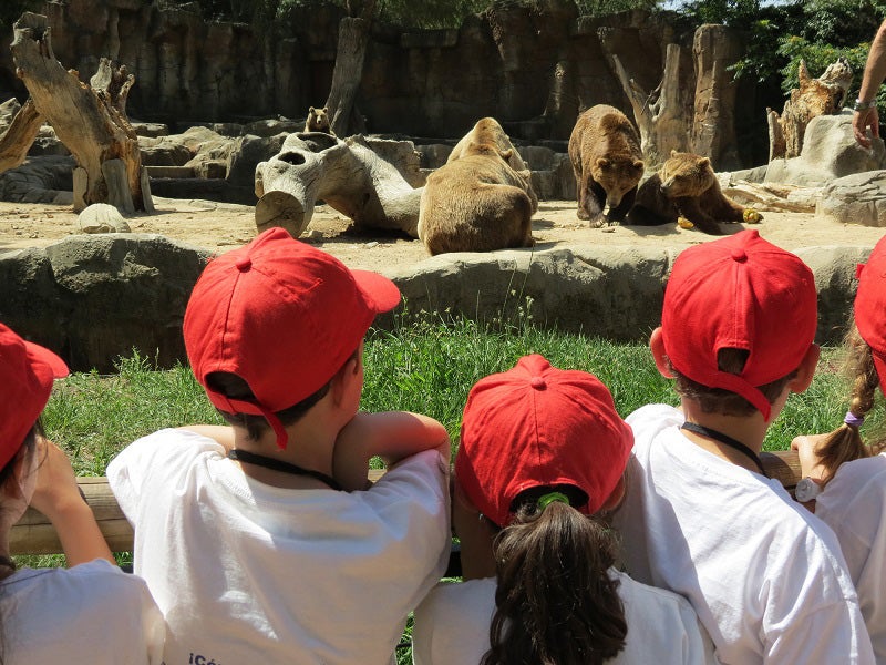 El campamento de verano del Zoo Aquarium de Madrid enseñará a los niños de entre 4 y 14 años a proteger las especies, a conocer sus costumbres, e incluso a identificar huellas, restos y plumas.