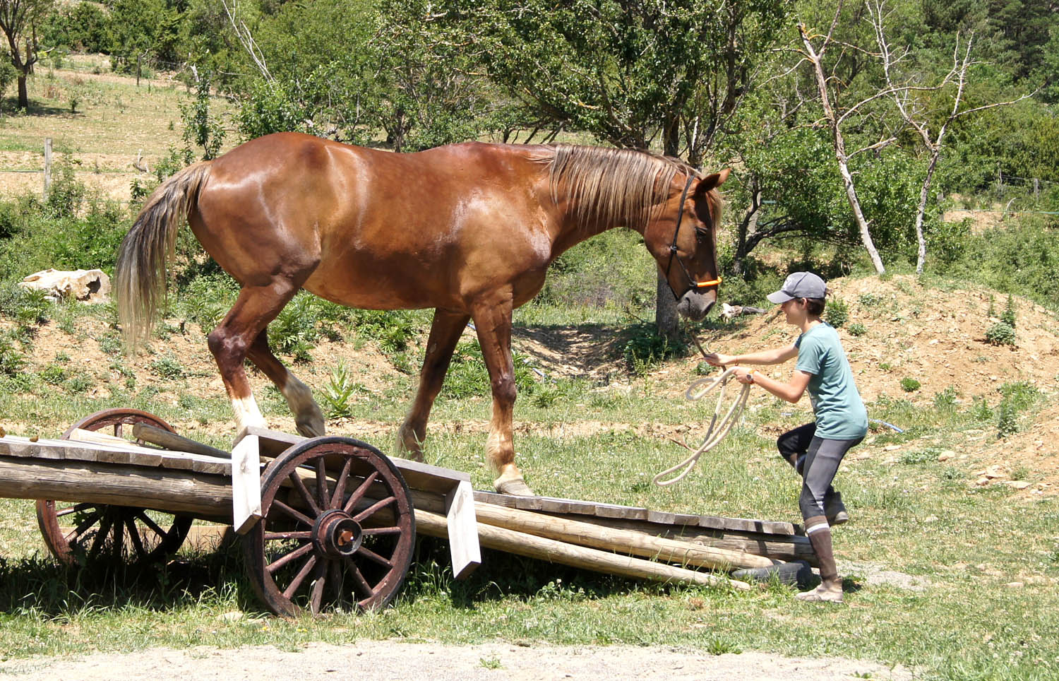 Del 19 de junio al 4 de septiembre los niños y jóvenes de 8 a 18 años pueden disfrutar de los caballos, mejorar su técnica de equitación, y de paso aprender idiomas en plena naturaleza, gracias al campamento hípico internacinal que tiene lugar al lado de Jaca, en Huesca.