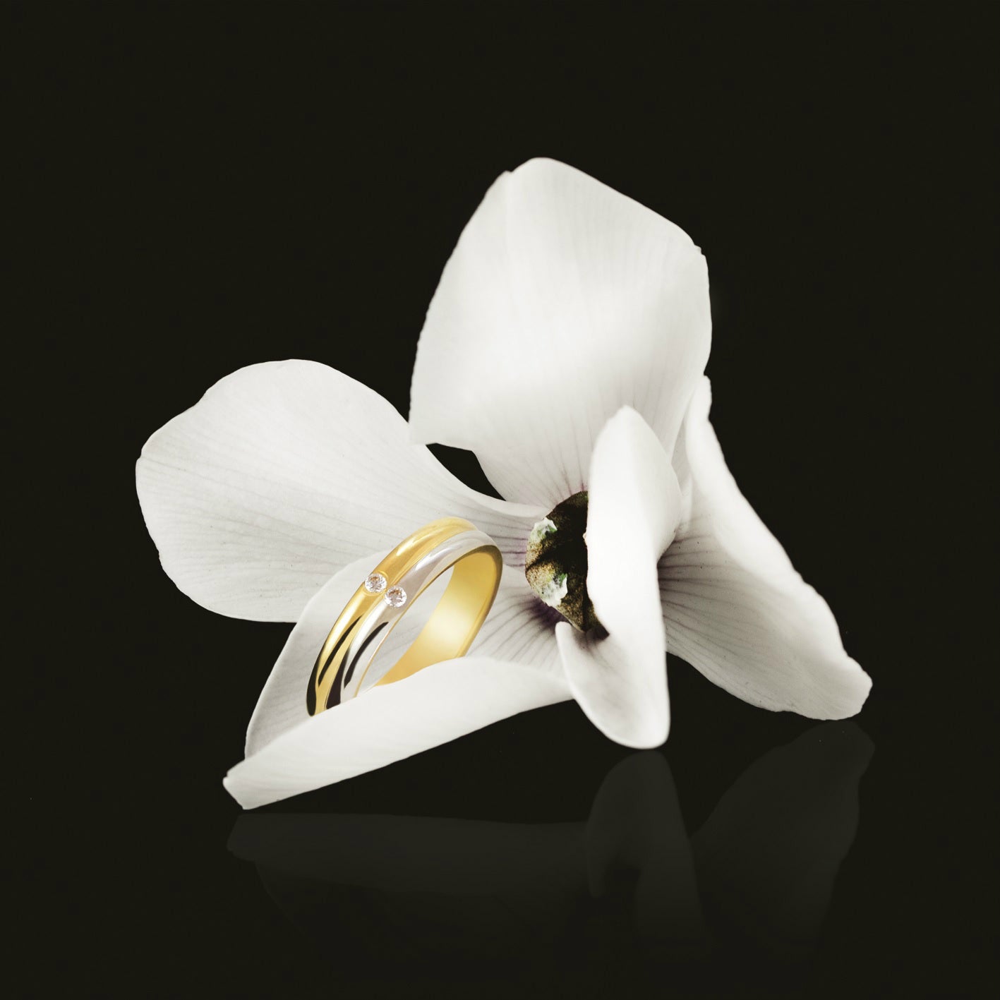 La joyería aragonesa Argyor1954 (más de un tercio de los novios españoles se casa con alianzas hechas por ellos) ha presentado el primer configurador de anillos de boda en 3D, para que los novios elaboren un diseño personalizado. Un programa digital con el que la pareja recibe vía email el resultado del boceto, a partir del cual se elabora en sus talleres con una fabricación 100% española. www.argyor.com