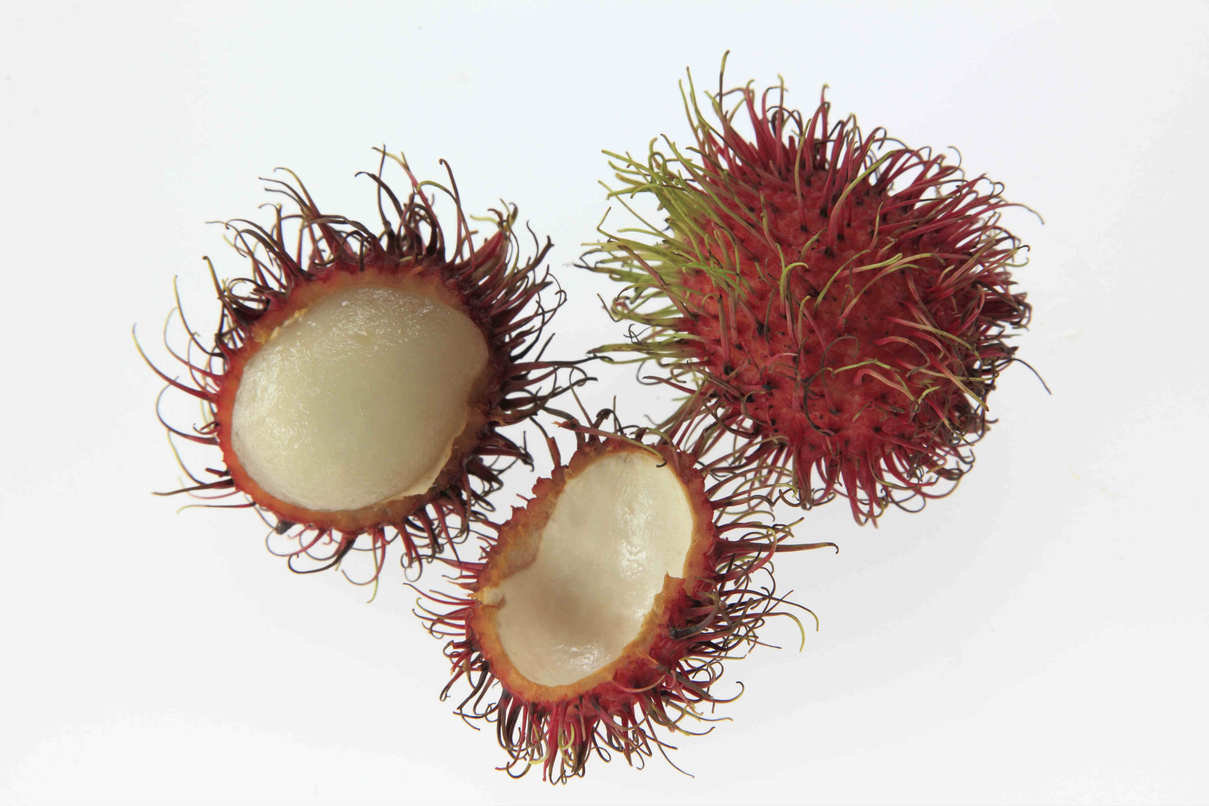 Tras una cáscara peluda se encuentra un suave y acuoso corazón de color blanco y sabor agradable