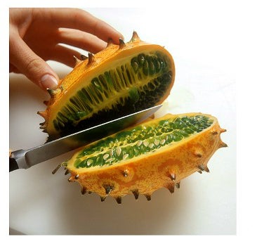 Tambiñen conocido como el melón de cuernos, una vez maduro obtiene un color naranja en la corteza y verde en el interior.