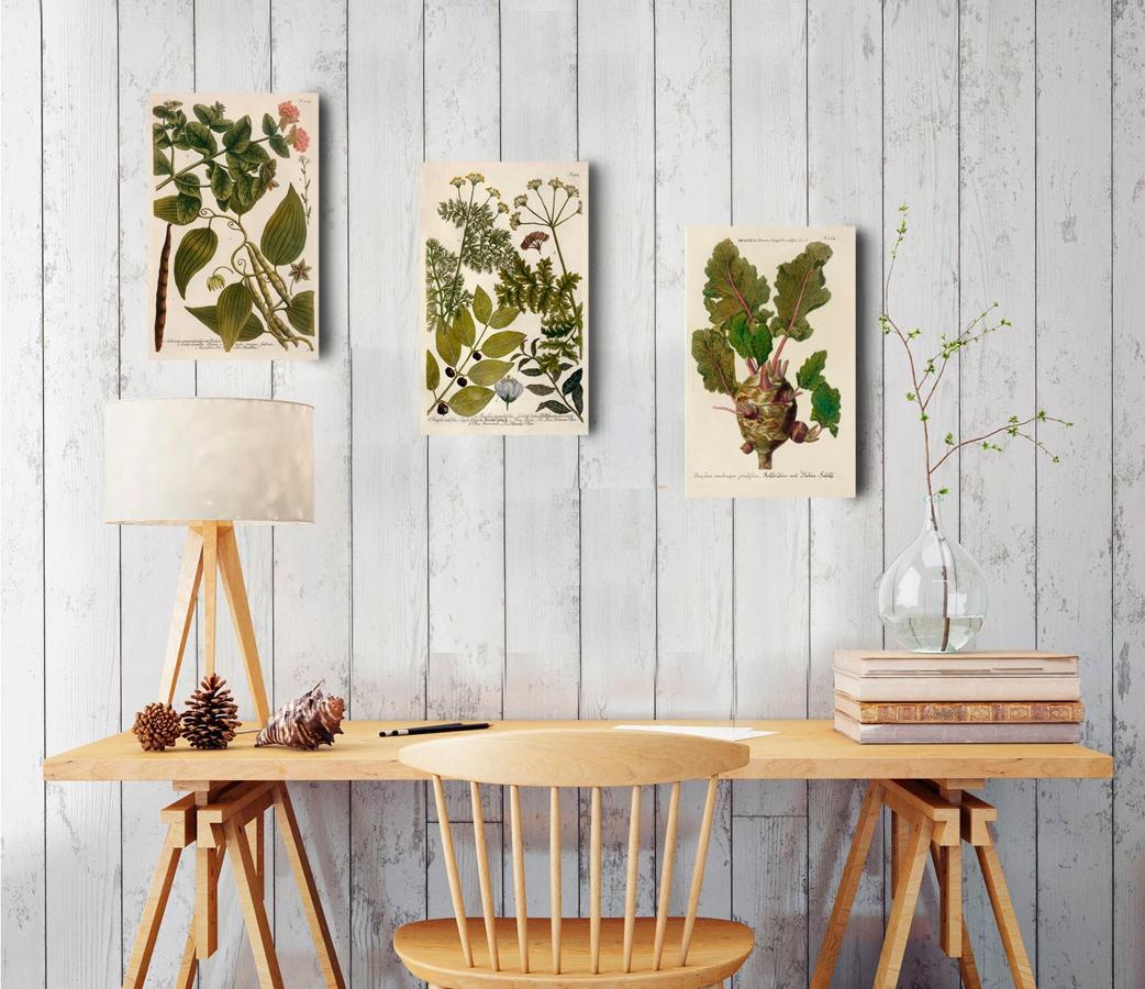 El verde es el color de la naturaleza, y este espacio de trabajo lo respira...