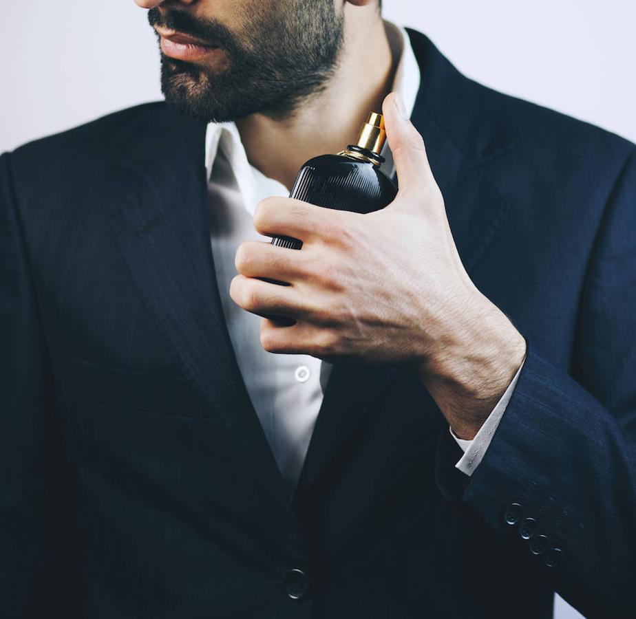 Echa un vistazo a las siguientes propuestas