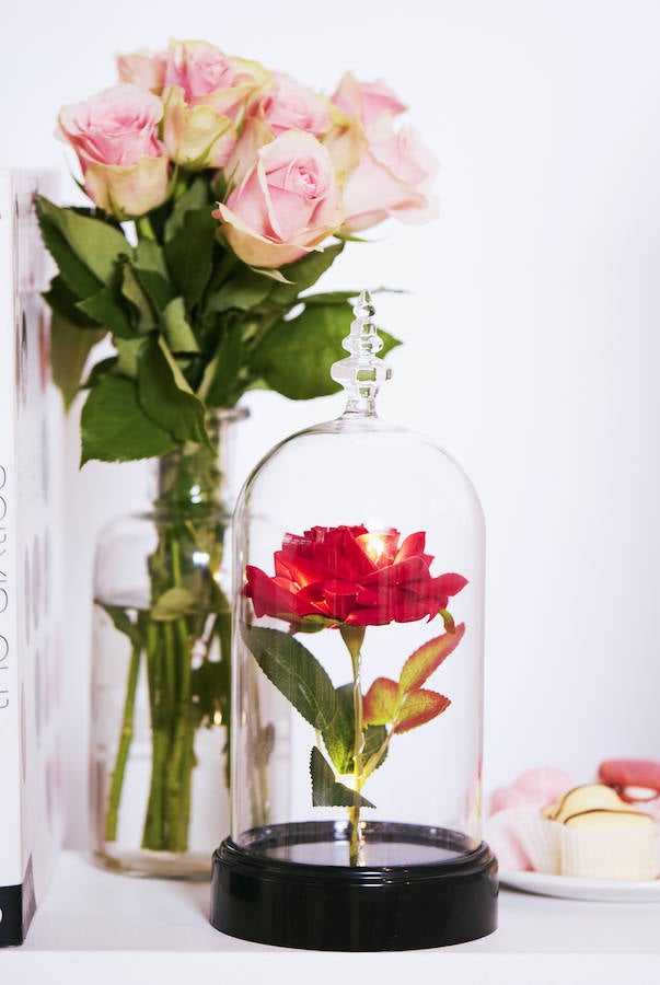 "La rosa que ella le había ofrecido era en realidad una rosa encantada que duraría hasta los 21 años del príncipe. Si llegaba a amar a una doncella y ella lo amaba también, antes de que cayera el último pétalo, se rompería el hechizo. Si no, quedaría encantado y sería una bestia... para siempre", decía el cuento. Y ahora, tú puedes tener la delicada rosa en tu hogar... ¡pero sin hechizo de por medio!