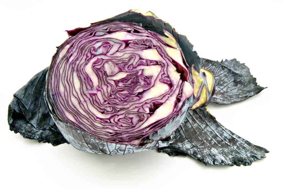 Con un alto contenido en fibra y un bajo aporte de calorías, es una opción ideal en las dietas para controlar el peso. Tiene efecto saciante. Además, su alto contenido en antocianinas le proporciona un efecto antioxidante y beneficios para la salud ocular. Tiene propiedades diuréticas debido a su riqueza en potasio, lo que evita la retención de líquidos y eliminar toxinas. A la hora de consumirla, aconsejan un ligero proceso de blanqueo que consiste en hervirla durante cinco minutos con un chorro de limón. Tiene propiedades antioxidantes y un alto contenido en Vitamina C.