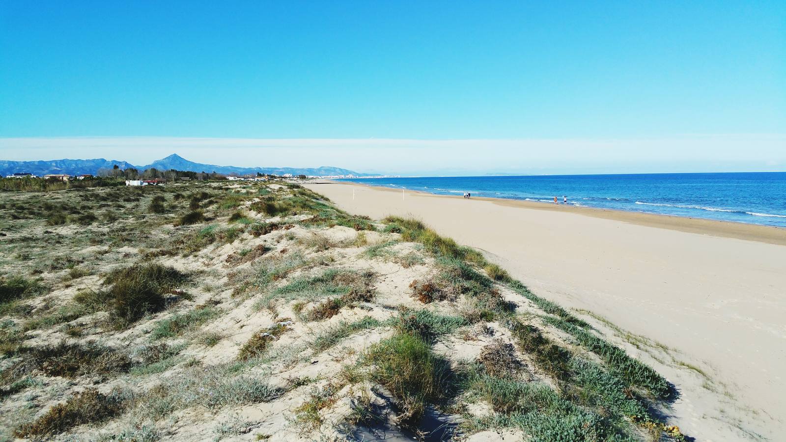 Enclavada en pleno Parque Natural de La Albufera, a media hora en autobús desde el centro de Valencia, El Saler ofrece un entorno tranquilo y sin aglomeraciones, rodeado de naturaleza.