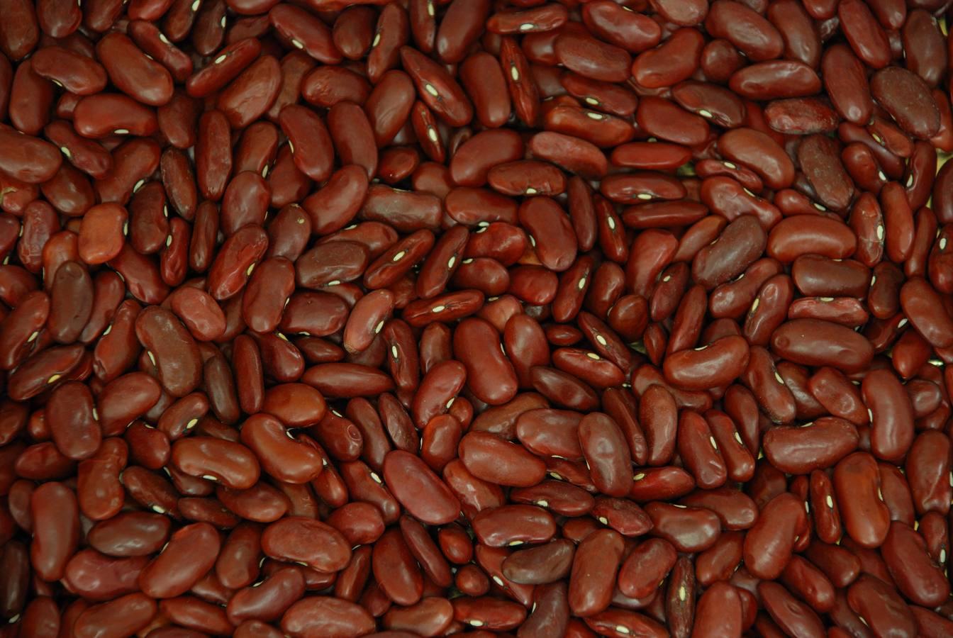 Los frijoles o alubias contienen 0,6 gramos de ácido alfa-linolénico, un tipo de omega 3, por cada 100 gramos