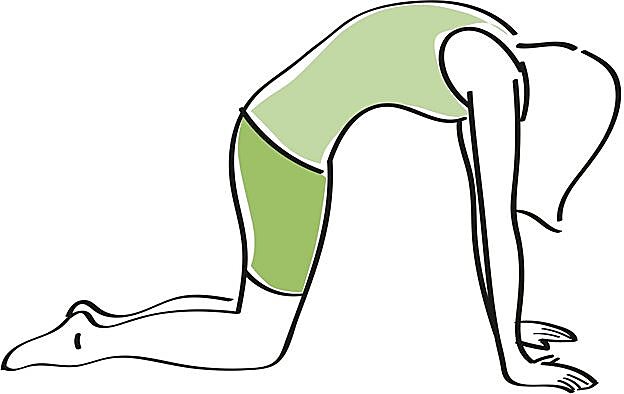 A tope de oxígeno: el gato.