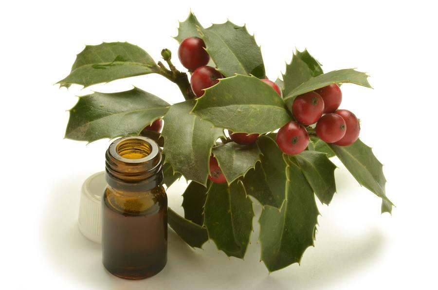 Los extractos de plantas como el ruscus, alcachofa, gingko biloba, meliloto, cola de caballo, centella asiática, hiedra o hamamelis resultarán útiles para reducir el volumen de tu cuerpo.