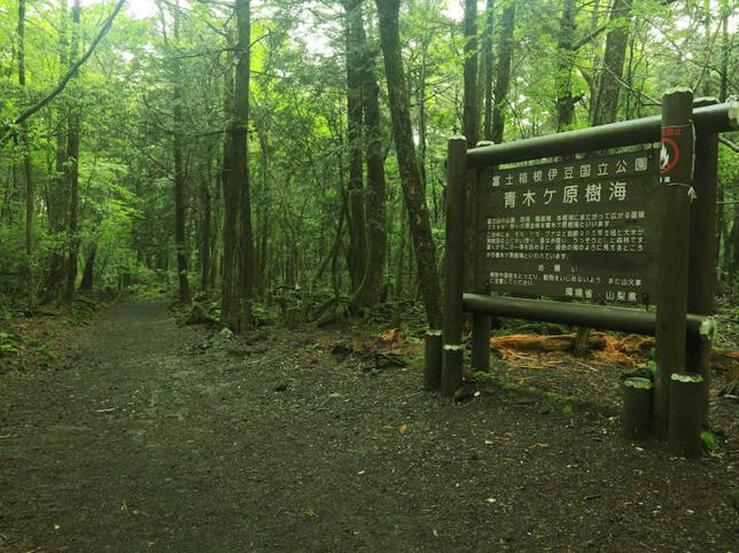 Fotos: Viajes a los lugares más terroríficos del mundo para celebrar Halloween